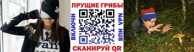 Купить Кизилюрт Псилоцибиновые грибы Cubensis