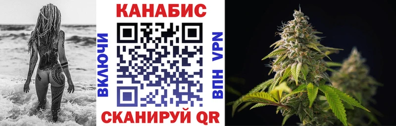 Марихуана план  Купить закладки  Кизилюрт 